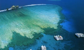 Snorkeling Tour to Tiran Island